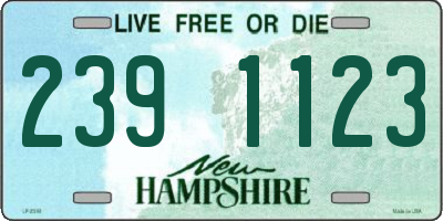 NH license plate 2391123