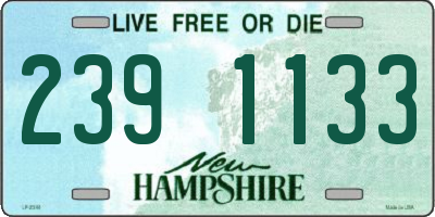 NH license plate 2391133