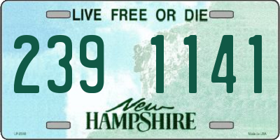 NH license plate 2391141