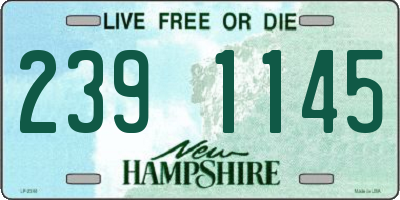 NH license plate 2391145