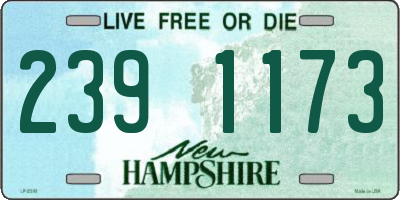 NH license plate 2391173