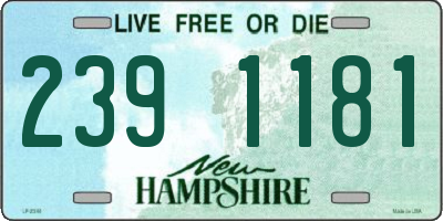 NH license plate 2391181