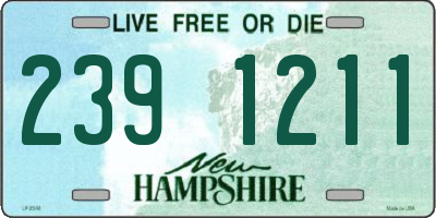 NH license plate 2391211
