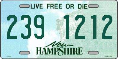 NH license plate 2391212
