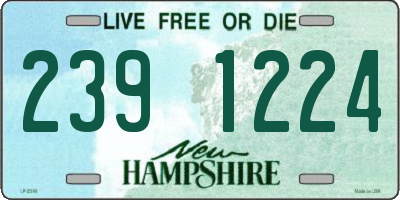 NH license plate 2391224