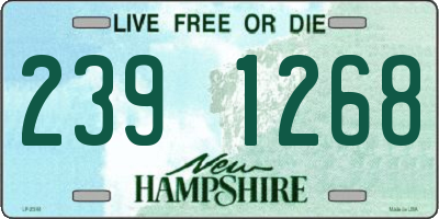 NH license plate 2391268