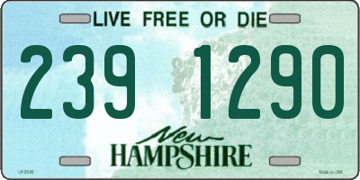 NH license plate 2391290