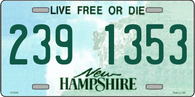 NH license plate 2391353