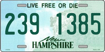 NH license plate 2391385