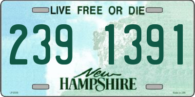 NH license plate 2391391