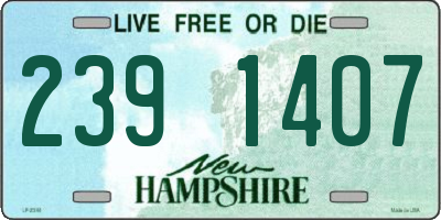 NH license plate 2391407