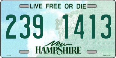 NH license plate 2391413