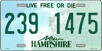 NH license plate 2391475