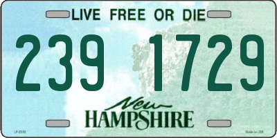 NH license plate 2391729