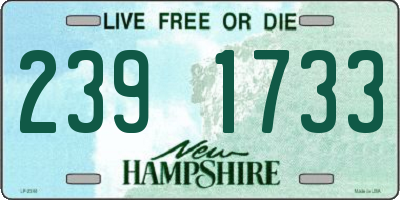 NH license plate 2391733