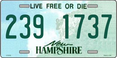 NH license plate 2391737