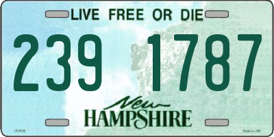 NH license plate 2391787