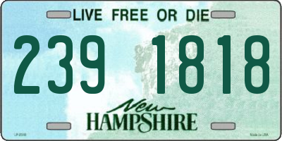 NH license plate 2391818