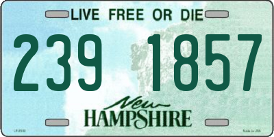 NH license plate 2391857