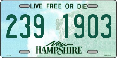 NH license plate 2391903