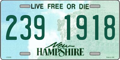 NH license plate 2391918