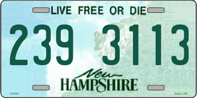 NH license plate 2393113