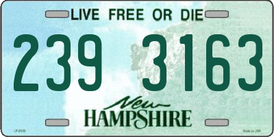 NH license plate 2393163