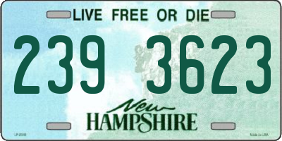 NH license plate 2393623