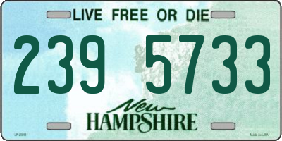 NH license plate 2395733