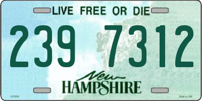 NH license plate 2397312