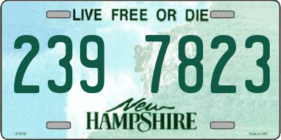 NH license plate 2397823