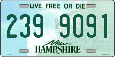 NH license plate 2399091