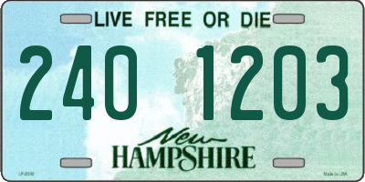 NH license plate 2401203
