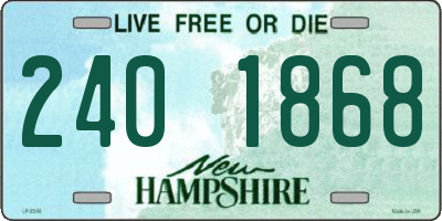 NH license plate 2401868