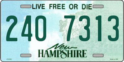 NH license plate 2407313