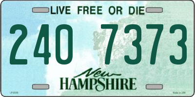 NH license plate 2407373