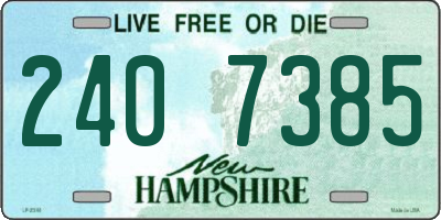NH license plate 2407385