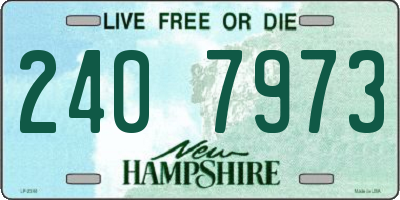 NH license plate 2407973