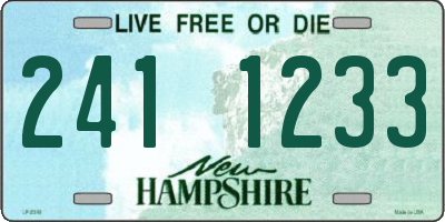 NH license plate 2411233