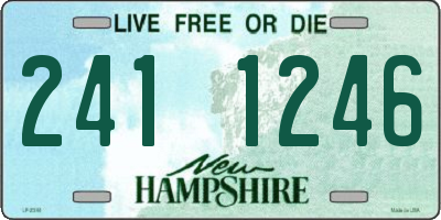 NH license plate 2411246