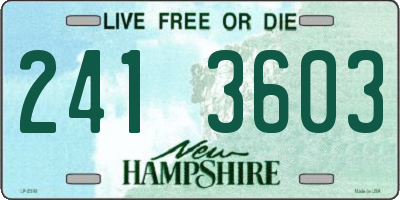NH license plate 2413603