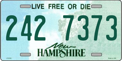 NH license plate 2427373