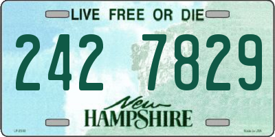 NH license plate 2427829