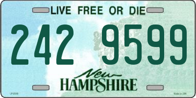 NH license plate 2429599