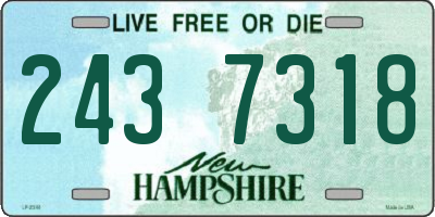 NH license plate 2437318
