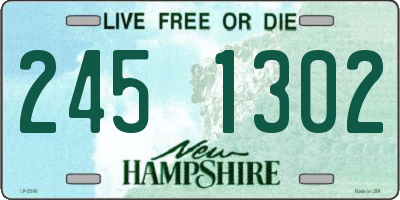 NH license plate 2451302