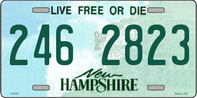 NH license plate 2462823
