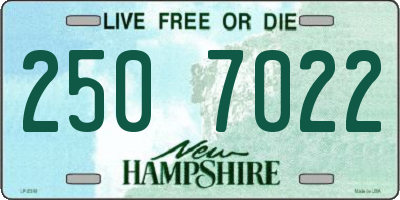 NH license plate 2507022