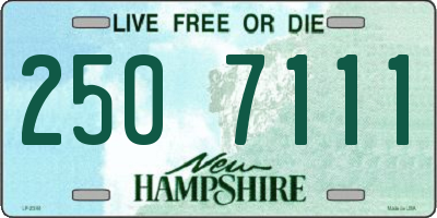 NH license plate 2507111