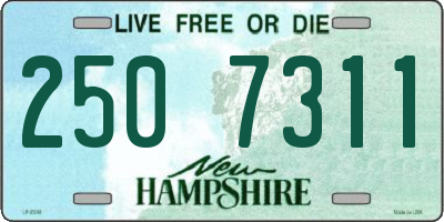 NH license plate 2507311
